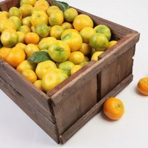 꿀꿀도매 극조생 타이백 감귤 3kg5kg10kg, 1개, 극조생타이백-5kg(로얄과(S-M))