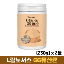 LGG 유산균 분말 L람노서스GG유산균 프락토올리고당 장건강 프로바이오틱스 프리바이오틱스, 2통, 230g