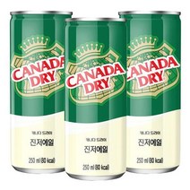 캐나다드라이 진저에일 250ml x 30캔, 상세페이지 참조