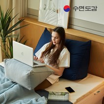 수면도감 등쿠션 삼각 등받이쿠션 침대쿠션 대형등쿠션 등베개 삼각쿠션, 그레이