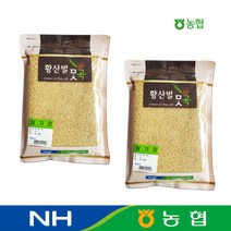 농협 국산 기장 (찰기장쌀) 500g, 2개