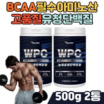 BCAA 필수아미노산 류신 물에타먹는가루 단백질쉐이크 단백질부족 현대인 50대 60대 어르신 노인 단백질보충제 유청단백 분말 protein 식사대용쉐이크 아침대용식 하루한끼