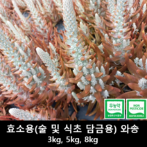 [송죽농장] 와송(효소용: 술 및 식초 담금용), 3kg, 1개
