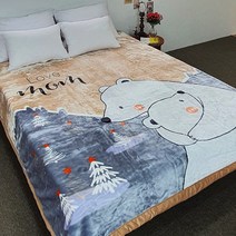 밍크담요 밍크이불 무릎담요 대형담요 담요 모음