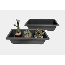 직사각 화분 다육이 화분