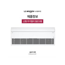 LG전자 휘센 시스템에어컨 신형 멀티실내기 5평 R-W0201C2SP 판넬포함 실외기제외