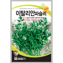 이탈리안파슬리 씨앗 200립 허브