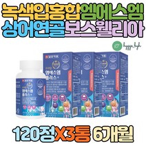 중년 여성 무릎 관절 홍화씨 비타민d 엠에스엠 영양제 녹색입홍합 관절에좋은 손가락 구부릴때 통증 무릅 연골 발목 어깨 고관절 엘보 오금 엉치 골다공증 발생 위험 감소 도움