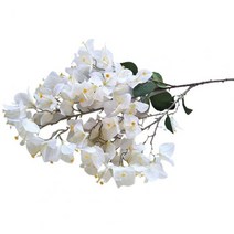 인테리어 조화 실크 부겐빌레아 glabra 꽃 부겐빌레아 speetabilis 꽃 가지, 하얀