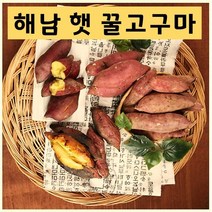 베니하루카 해남 햇 꿀고구마 (특급)[2~10kg] 달콤, 5kg