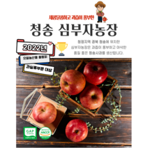 농림부장관상수상 청송사과 심부자농장 5kg 가정용 꿀사과 고당도 흠집사과 꼬마사과 사과 저렴사과 저농약사과 GAP인증 껍질째먹는사과 햇사과 아삭아삭 햇 산지직송 농가직거래, 청송사과 고당도 못난이사과 10kg(혼합)