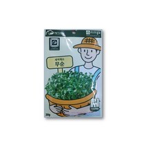 보키니 새싹재배기 무순 씨앗 종자 30g, 무순싹
