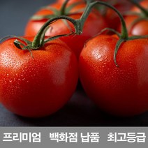 영화청과 국내산 토마토 3kg 프리미엄 백화점 남품, 쿠팡 최고의상품 1, 쿠팡 최고의상품 본상품선택