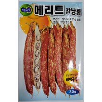 메리트 강남콩 30g - 비덩굴성 얼룩이 강남콩 씨앗 종자, 1개