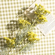 둔떼 썸바디 조화 생화같은조화 쑥국화 소재가지 인테리어 꽃, 그린