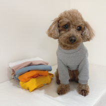 베이직 맨투맨 티셔츠 (핸드메이드 맞춤) 기본 강아지 티 xxs xs 2xl 3xl 4xl 초소형견 옷 중형견 대형견 셔츠, 백아이보리, 80cm초과