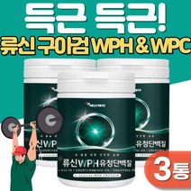 딘벡질보충제프로틴 WPC 유청단백질 류신 BCAA 아미노산 구아검 WPH 단백질 쉐이크 루신 아연 철분 엽산