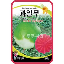 과일무 200립 / 무씨앗 무우씨 수박무 씨앗 이색 종자 watermelon radish seed