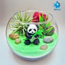 팬더야 뭐하니 - 틸란(이오난사) 원형볼 12cm 테라리움 DIY키트 세트, 걷는팬더, 흽색
