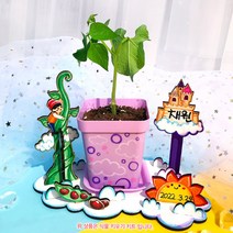 오렌지몰 강낭콩키우기키트+관찰일지 1066732, 단품