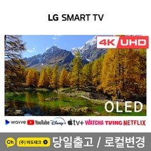LG전자 83인치 4K UHD 스마트 TV OLED83C1 / 올레드 티비, 2. 수도권역 벽걸이 +상하브라켓