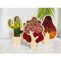 스칸디아모스 나무 선인장 원목 모스 화분 그라데이션 DIY 키트 학교 미술 만들기 교재도구, 시에나