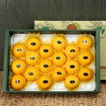 제주 제철과일 프리미어 황금향 선물세트 1.5kg 2.5kg 4.5kg, 명품선물세트2.5kg(14과내외)