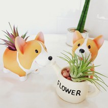 쭈bapha_예쁜 다육이화분 웰시코기 핸드메이드 테이블 식물 인테리어 이용 수작업 원예용 미니♥LtMS, ♥LtMS플라워코기
