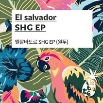 [레베떼커피] 엘살바도르 SHG EP 1kg, 상세설명 참조, 없음