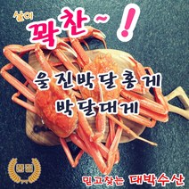 (혼족 세트) 제철 울진 영덕대게 후포 연지 붉은 박달 홍게 대게 직거래 당일 택배 - 자숙, 3. 박달홍게(특대-551g~650g) 3미/세트