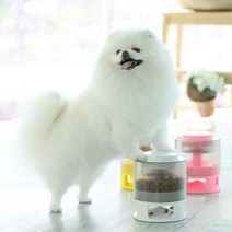 주말특가 강아지 터치 노즈워크 장난감 소형견 중형견 누르면 나오는, 옐로우