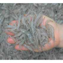 김장 맛을 더하는 국산 김장용 생새우 민물새우 김장새우1kg 자연산 급속냉동, 1개