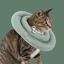 키트니 강아지 고양이 원형 쿠션 도넛 넥카라 그린 M, 1개