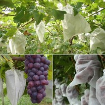 농업용 농사용 비닐 하우스 차광막 가림막 햋빛 차단막 방수 천막 인삼 재배 덮개 식물 방충망 그물망, 240x350mm