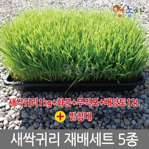 새싹귀리 재배세트 5종 텃밭키우기, 단품