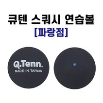 브니엘 스쿼시볼 블루도트 1점 10개 연습용