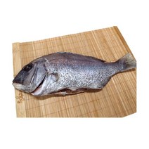 반건조 참돔 도미(중) 1마리 자연산도미 도미매운탕 생선찜, 참돔(중)1마리