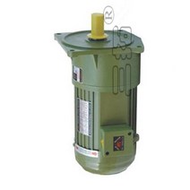 3상유도전동기 단상모터 0.2kW AC 220V 380V 3 상 중형 기어드 모터 저속 대형 토크 수직 설치 산업용 교반, 16 10rpm