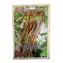백도라지 씨앗 (1천립) - 도라지 더덕 모종 씨앗 텃밭 주말농장, 1개