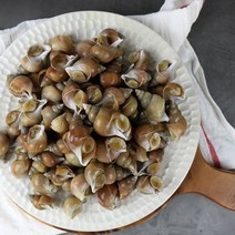 자연산 백골뱅이 1kg 포항 생물 백고동 활 급냉 제철, 생물 소1kg(35~60미내외)
