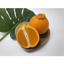 써니트 한라봉 제주 한라봉 프리미엄과일 한라봉박스 가정용 중소과 중대과 3kg 10kg, 1개, [특가] 가정용/3kg/중소과/15과내외