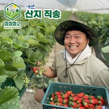 딸기농장체험 저렴한곳 검색결과