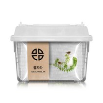 [노올] 물자라 관찰세트 자연 초등교과 곤충