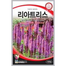 꽃 씨앗 리아트리스 향이 좋아 벌과 나비가 모여드는 아름답고 우아한