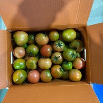 [우리존] 토망고 스테비아 토마토2kg 12입내외(10-16입), 상세 설명 참조