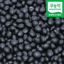 국산 무농약 약콩 1kg 쥐눈이콩 친환경