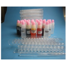 (사이언스마켓)SSC pH와 지시약 키트 B형(한줄13홈판이6개/96홈판6개 포함)6인용