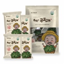 자연두레 뚝딱 곤드레 16g(4gx4개입), 01_뚝딱 곤드레나물 16g(4gx4개입)