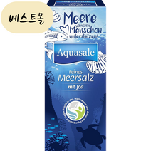 [해외] 아쿠아새일 요오드 바다 소금 500g 베스트몰 미국직구, 1개