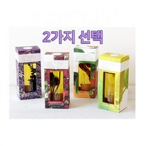 린든리브즈 바디오일 아로마오일 250ml 4가지 중 2개 올리브영 마사지오일, 앱솔루트 드림즈_픽 미 업